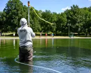 Trump Blames Vandalism for Reflecting Pool Algae Bloom Without Evidence