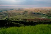 Trump's Plan to Open Public Lands to Off-Roading Sparks Wildlife Concerns