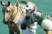 Turkmenistan's 'Heavenly' Horses at Heart of Fervent State Cult