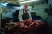 TV Tonight: Alien Autopsy Scandal Series Explores Mass Delusion