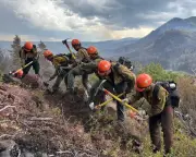 Two Firefighters Killed in Utah and Colorado Wildfires