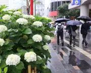 Typhoon Jangmi Threatens Japan as Europe Faces Heatwave