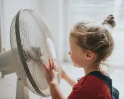 UK Grid Operator Secures Extra Power Plants for Heatwave