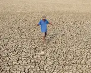 UN Warns: El Niño Return Imminent, 80% Chance Before September