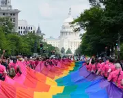 US support for same-sex marriage dips after decades of growth