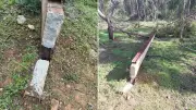 Vandals Cutting Stobie Poles in Adelaide's North Endanger Lives