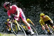 Vingegaard on Verge of Giro Glory After Penultimate Stage Win