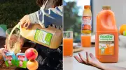 Why 100% Fruit Juice Like Nudie Boosts Health: Science-Backed Benefits