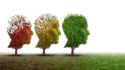 Why People Living with Dementia Are Too Often Overlooked