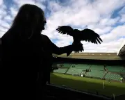 Wimbledon 2026 Day One: Sinner, Sabalenka, Djokovic in Action