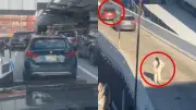 Woman's Car Towed at JFK After Leaving It Unattended in Drop-Off Zone