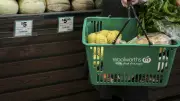 Woolworths Brings Back Twin-Handle Baskets After Customer Complaints