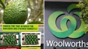 Woolworths Deploys VR Headsets to Revolutionize Avocado Supply Chain