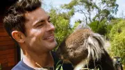 Zac Efron Living Incognito in Australia Building Dream Eco-Home