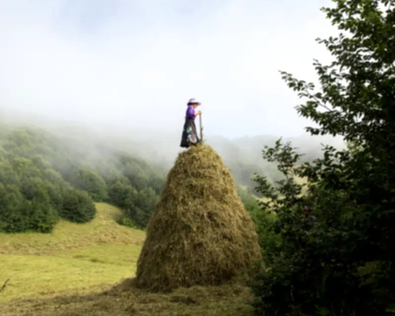 Marilyn Stafford FotoReportage Award 2026 Winners and Shortlist Announced