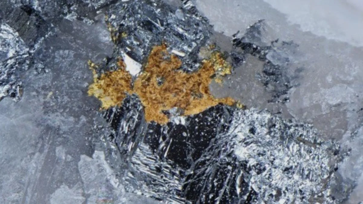 Pacgold Expands High-Grade Gold-Antimony System in Queensland