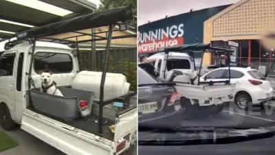 Arrest warrant for Adelaide man accused of kicking dog in Bunnings carpark