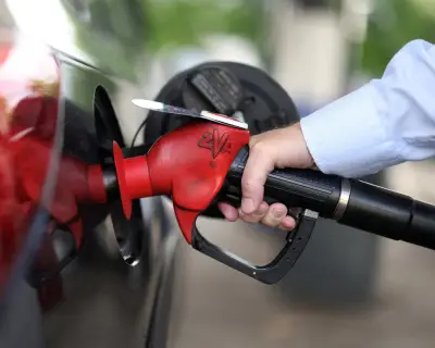 Australia Set to Avoid Recession Despite Global Oil Shock, Economists Say
