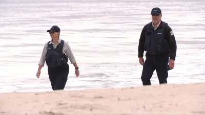Bird Flu Confirmed in Perth as Giant Petrel Found on Mullaloo Beach Tests Positive