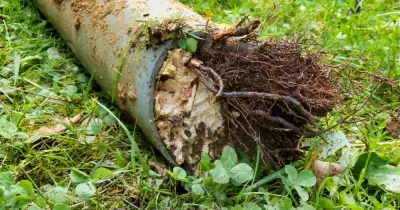 Canberra Plumbers Reveal Hidden Home Plumbing Problems