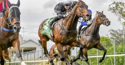 Canterbury races: Inoue tipped to win first-up for new trainer Richard Litt