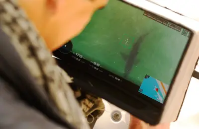 Drones Spot More Sharks Near Beaches, Enhancing Public Safety