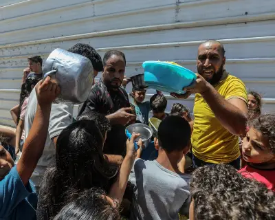 IDF Accused of Executing Palestinian Aid Driver, Telstra Glitch, Fastest Spider Found