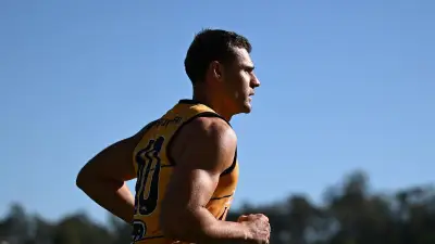 Jack Payne's AFL finals hopes dashed by ongoing knee injury