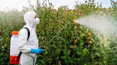 NZ's Roundup Approval Relies on Industry-Funded Reviews Under Fire