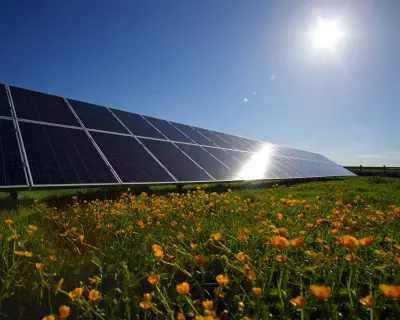 UK's Largest Community Solar Farm Forced to Shut Over Grid Overload Fears