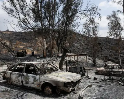 Wildfires Kill Long After Flames Are Gone: Study Finds Hidden Death Toll
