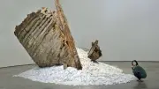 Adaptive Reuse: How Artists Recycle Objects for New Meaning