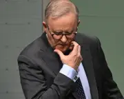 Albanese's 'shag, marry, date' gaffe exposes risks of social media politics