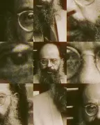 Allen Ginsberg's Complex Legacy Revisited
