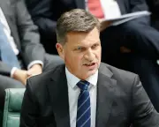 Angus Taylor Faces 'Eternity of Pain' in Pauline Hanson Attack