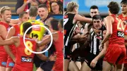 Brayden Maynard explains role in AFL brawl that caught umpire