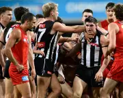 Brayden Maynard: The Robust AFL Player Coaches Love to Have