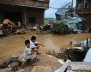 Cobras Escape Farms Amid Southern China Flooding