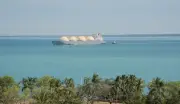 Darwin Residents Demand Action on Toxic Gas Emissions from LNG Facilities
