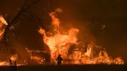 El Niño Could Trigger Black Summer-Like Fires in 2027-28, Warns Former Fire Chief