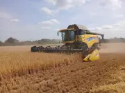 Harvest Arrives Three Weeks Earlier Than Two Decades Ago