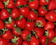 June Weather Made UK Strawberries Sweeter, Says RHS