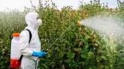 NZ's Roundup Approval Relies on Industry-Funded Reviews Under Fire