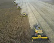 Super El Niño to Shock Global Food Prices Till 2028, Economists Warn