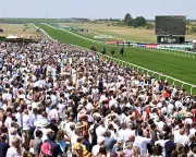 Super Saturday Flat Racing: July Cup, Bunbury Cup, John Smith's Cup