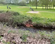 Toxic Golf Course at Malkins Bank in Cheshire Found to Have Chemical Contamination