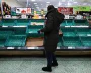 UK Report Warns Ecosystem Collapse Threatens Food Security