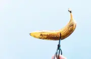 Vasectomy Numbers Surge in Australia as More Men Choose the Snip
