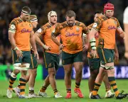 Wallabies Face Uphill Battle After France Series Defeat