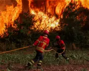 Wildfires Rage Across Southern Europe in Devastating Pictures
